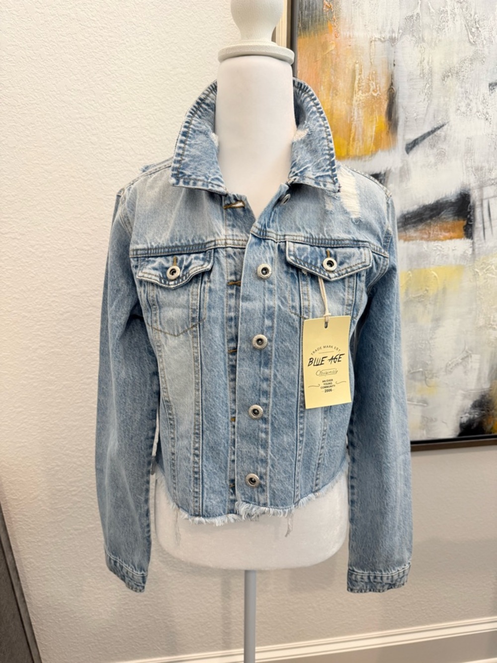 Light Wash Denim Jacket with Purple Chain-Print Back Panel, Medium NWT - Picture 5 of 6